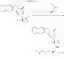 Fig. 45 - CYCLODEXTRIN-BASED POLYMERS FOR THERAPEUTICS DELIVERY