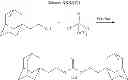 Fig. 68 - CYCLODEXTRIN-BASED POLYMERS FOR THERAPEUTICS DELIVERY