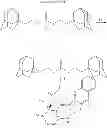 Fig. 69 - CYCLODEXTRIN-BASED POLYMERS FOR THERAPEUTICS DELIVERY