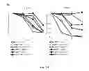 Fig. 08 - Chimeric Newcastle disease viruses and uses thereof