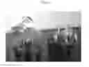 Fig. 09 - Agent for preventing bacterial wilt disease, and method for preventing bacterial wilt disease