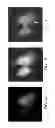 Fig. 02 - CELL FUSION PROMOTER AND UTILIZATION OF THE SAME