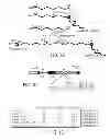 Fig. 02 - Methods and compositions for regulating gene expression