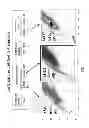 Fig. 02 - Molecular marker for cancer stem cell