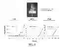 Fig. 03 - Molecular marker for cancer stem cell