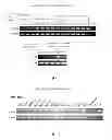 Fig. 07 - Molecular marker for cancer stem cell