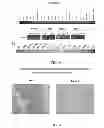 Fig. 08 - Molecular marker for cancer stem cell