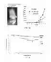 Fig. 10 - Molecular marker for cancer stem cell