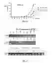 Fig. 16 - Molecular marker for cancer stem cell