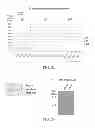 Fig. 18 - Molecular marker for cancer stem cell