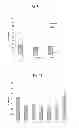 Fig. 07 - Method of peptide hydrolysis, peptidase, the composition for use as a bacteriostatic and bactericidal agent, a kit and the uses of the active form of LytM from or derivatives thereof