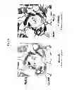Fig. 04 - Polynucleotides encoding proteins having acquired α-galactosidase activity