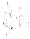 Fig. 03 - Factor VII polypeptides that are modified and uses thereof