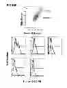 Fig. 02 - Human monoclonal antibody human CD134 (OX40) and methods of making and using same