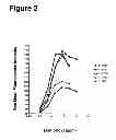 Fig. 03 - Human monoclonal antibody human CD134 (OX40) and methods of making and using same