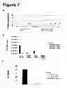 Fig. 08 - Human monoclonal antibody human CD134 (OX40) and methods of making and using same