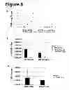 Fig. 09 - Human monoclonal antibody human CD134 (OX40) and methods of making and using same