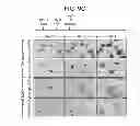 Fig. 22 - Compounds