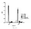 Fig. 04 - Antibodies against IL-17BR