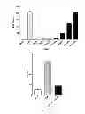 Fig. 06 - Antibodies against IL-17BR