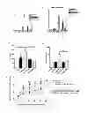 Fig. 09 - Antibodies against IL-17BR