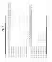 Fig. 02 - Anti-TIM-3 antibody
