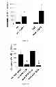 Fig. 02 - Methods for treating vaso-occlusive crisis using non-modified annexin V