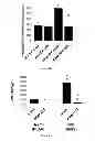 Fig. 03 - Methods for treating vaso-occlusive crisis using non-modified annexin V
