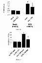 Fig. 04 - Methods for treating vaso-occlusive crisis using non-modified annexin V