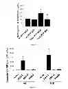 Fig. 07 - Methods for treating vaso-occlusive crisis using non-modified annexin V