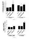 Fig. 09 - Methods for treating vaso-occlusive crisis using non-modified annexin V