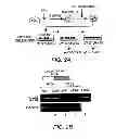 Fig. 04 - Diagnostic and Therapeutic Targets for Leukemia