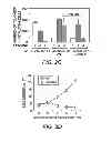 Fig. 05 - Diagnostic and Therapeutic Targets for Leukemia
