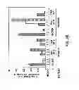 Fig. 09 - Diagnostic and Therapeutic Targets for Leukemia