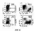 Fig. 16 - Diagnostic and Therapeutic Targets for Leukemia