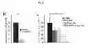 Fig. 09 - B-type plexin antagonists and uses thereof
