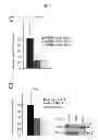 Fig. 22 - B-type plexin antagonists and uses thereof