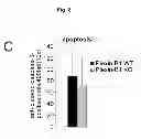 Fig. 30 - B-type plexin antagonists and uses thereof