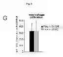 Fig. 34 - B-type plexin antagonists and uses thereof