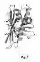 Fig. 03 - NOVEL HYPOALLERGENS