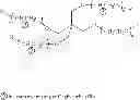 Fig. 02 - Dimeric scaffold proteins comprising HIV-1 GP120 and GP41 epitopes