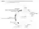 Fig. 04 - VACCINES AGAINST CLOSTRIDIUM DIFFICILE AND METHODS OF USE
