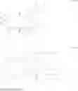 Fig. 12 - RSV immunization regimen