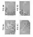 Fig. 06 - TDF-related compounds and analogs thereof