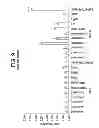 Fig. 12 - TDF-related compounds and analogs thereof