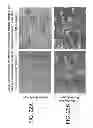 Fig. 26 - TDF-related compounds and analogs thereof