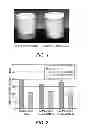 Fig. 02 - Stable, flowable silica capsule formulation
