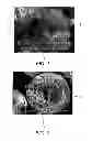 Fig. 02 - Hybrid fragrance encapsulate formulation and method for using the same
