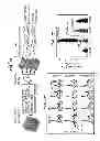 Fig. 02 - Compositions and methods for modulating BRD4 bioactivity