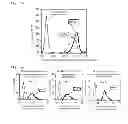 Fig. 08 - Nanoparticles containing pH-responsive peptide